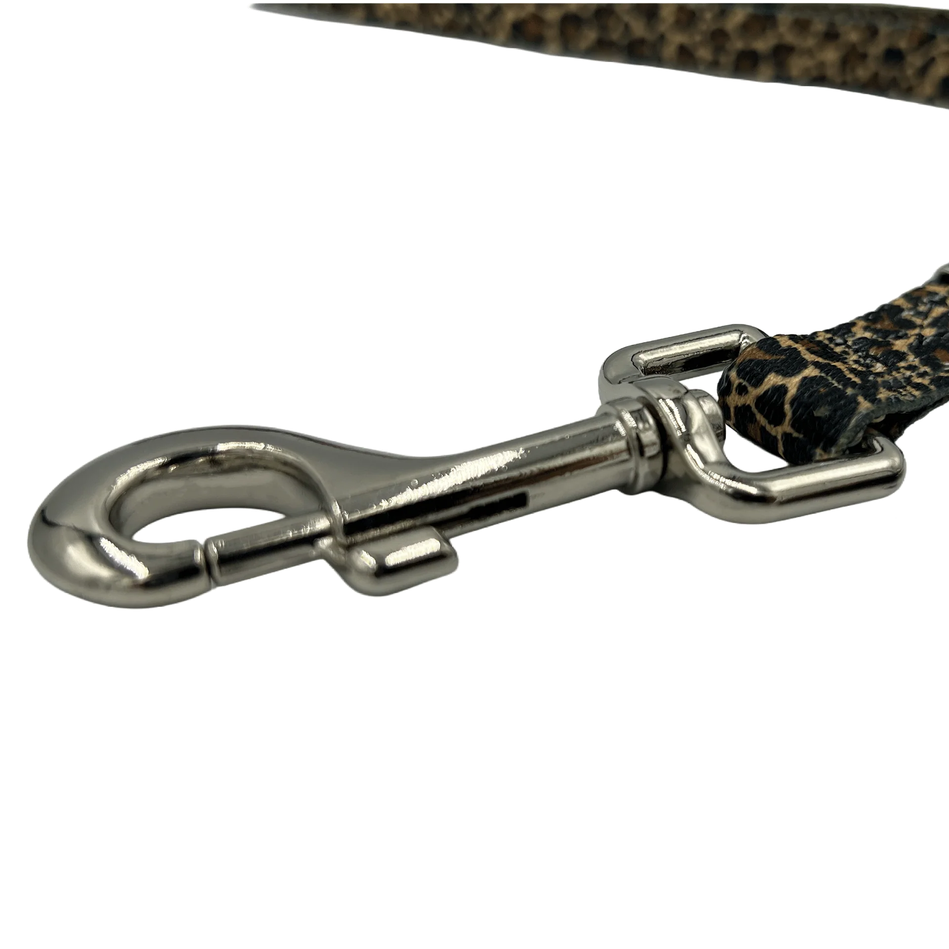 24" Polyester Loop Jungle Leopard by Groom Loop - Image 4