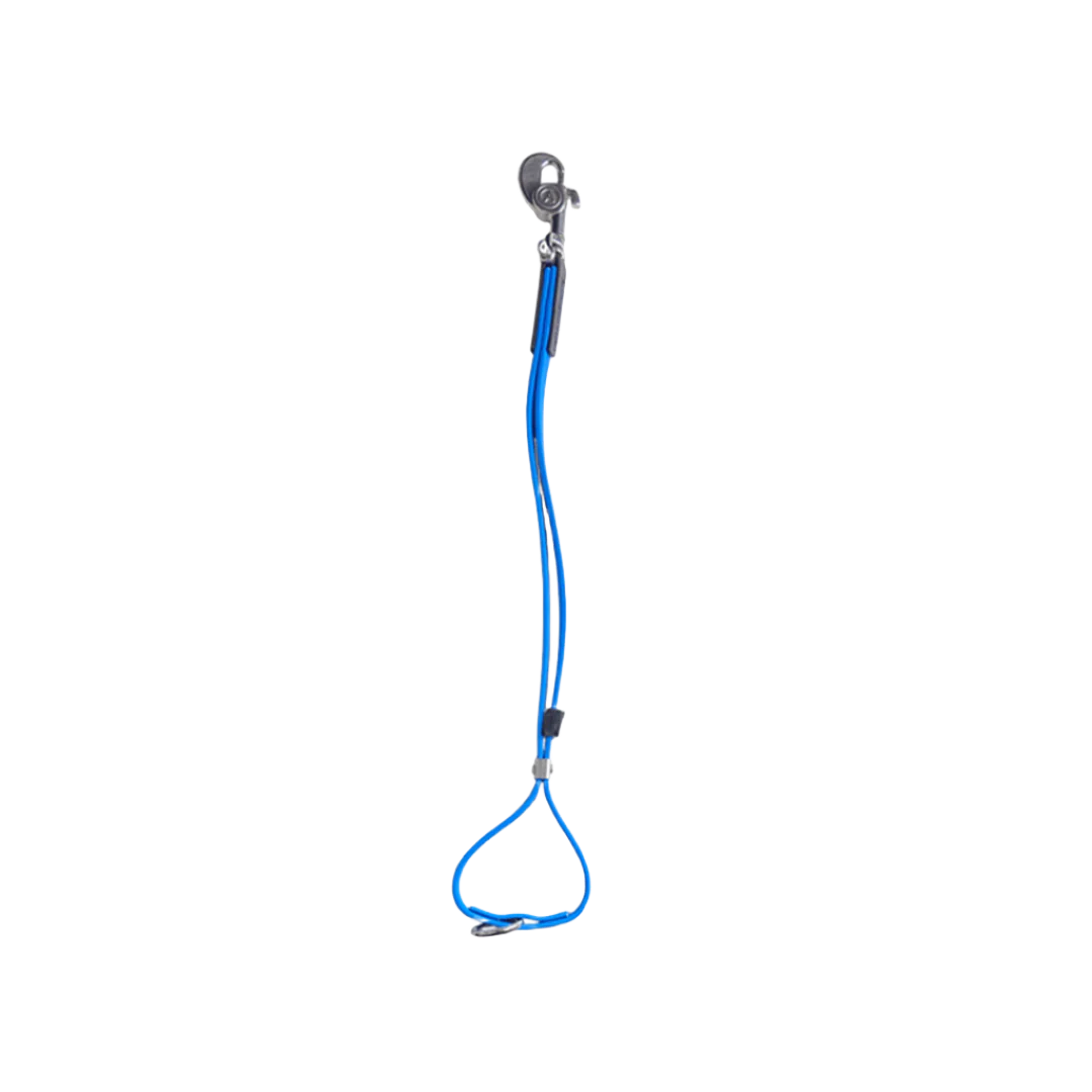 AXL Loop in Blue by Alpha Grooming