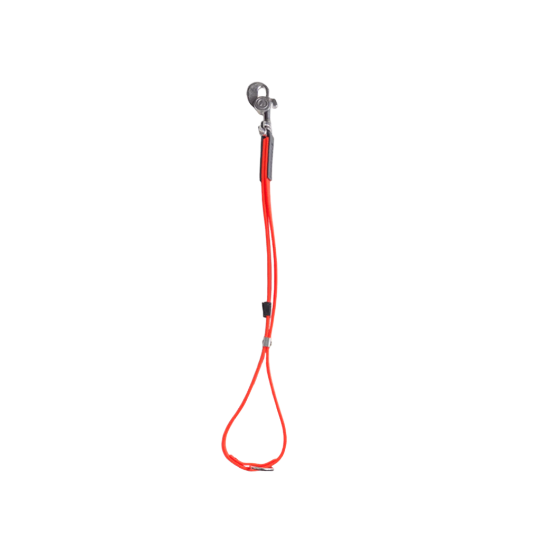 AXL loop in orange by Alpha Grooming