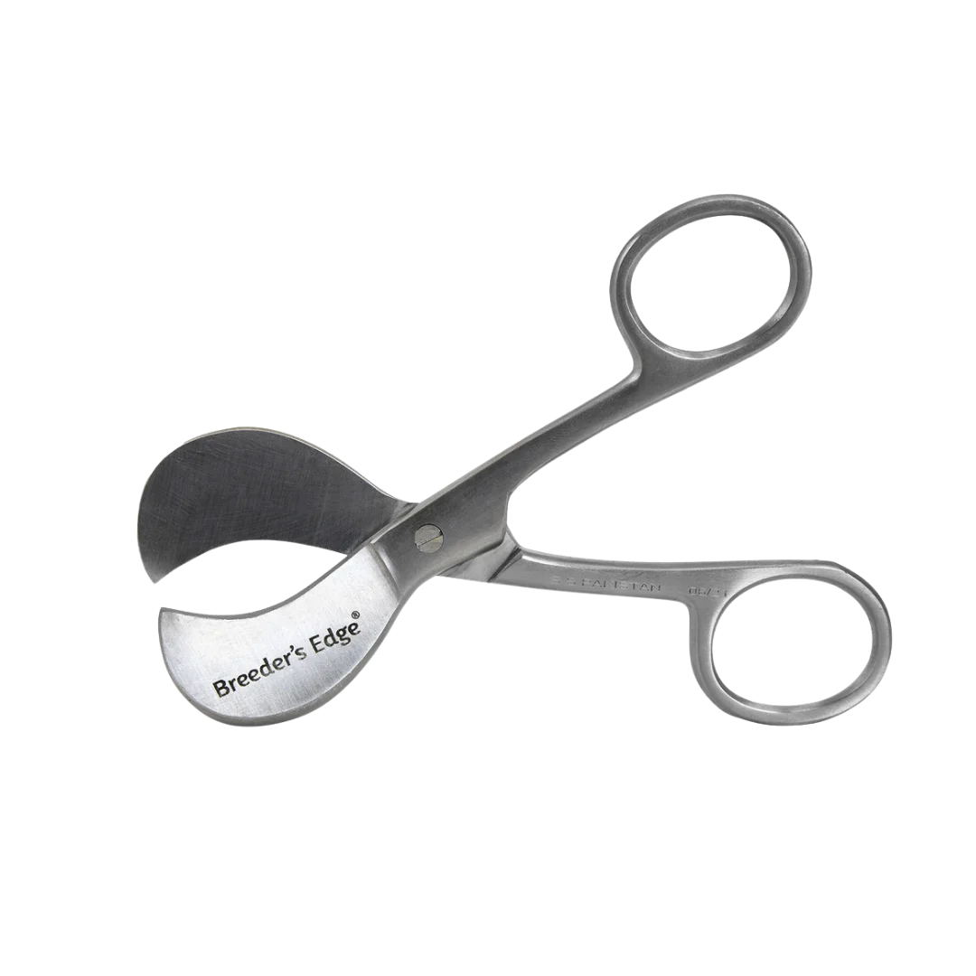 Clean Cut Umbilical Scissors by Breeder's Edge - Image 2