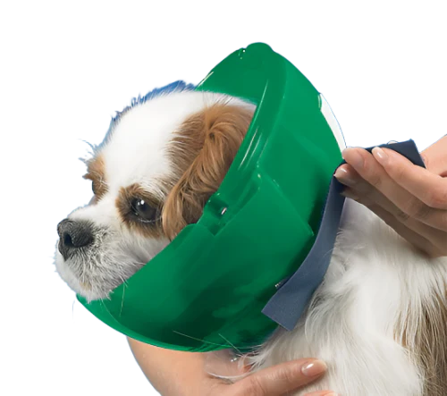 Cat and Small Dog E-Collar and Muzzle - Image 3