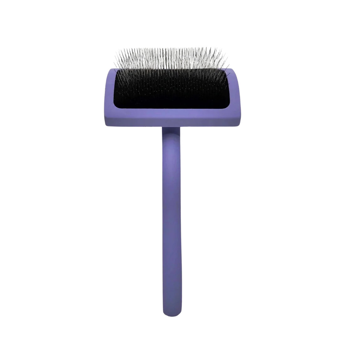 Medium Curved Karben Lavender Slicker Brush by Chris Christensen