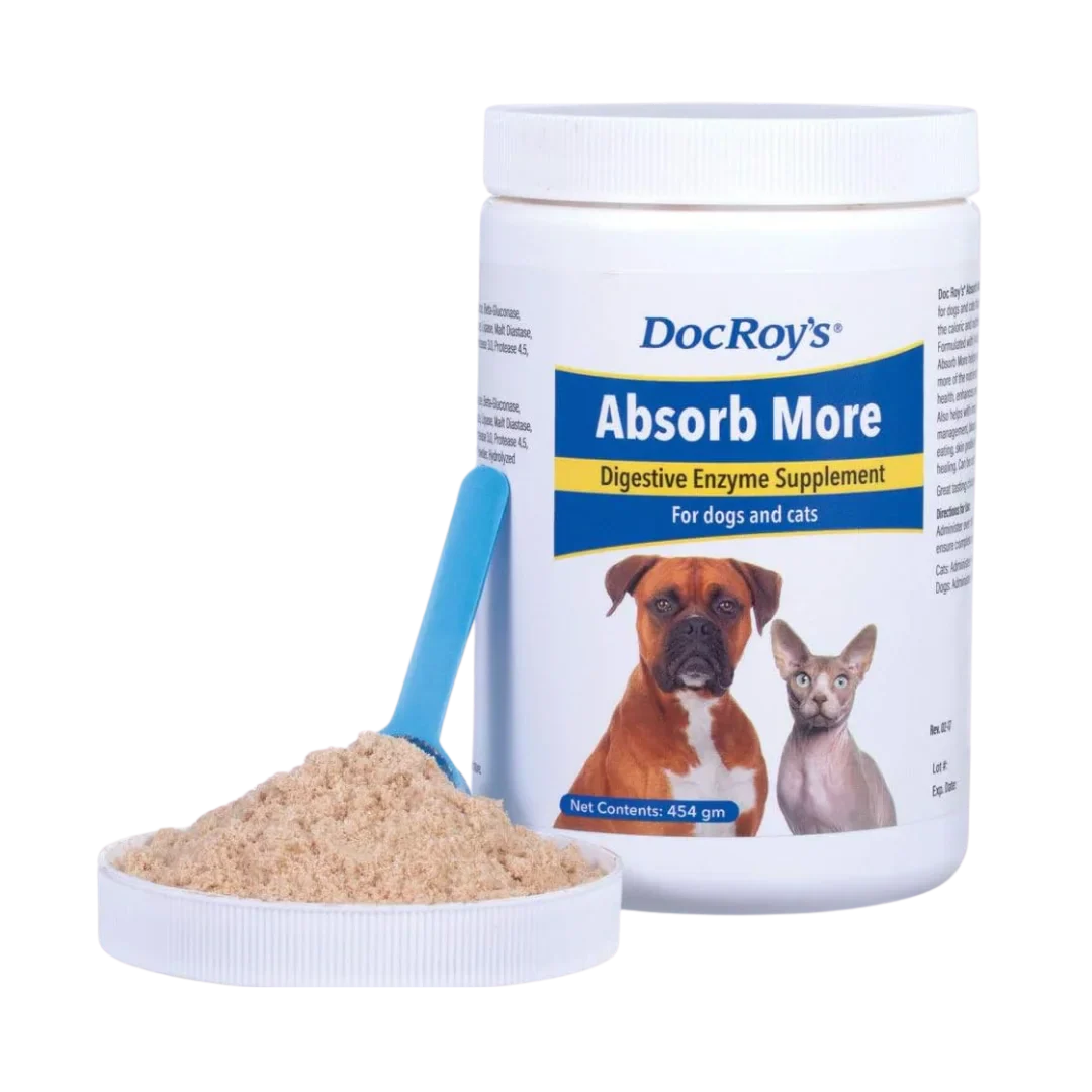 Absorb More 454gm by Doc Roy's