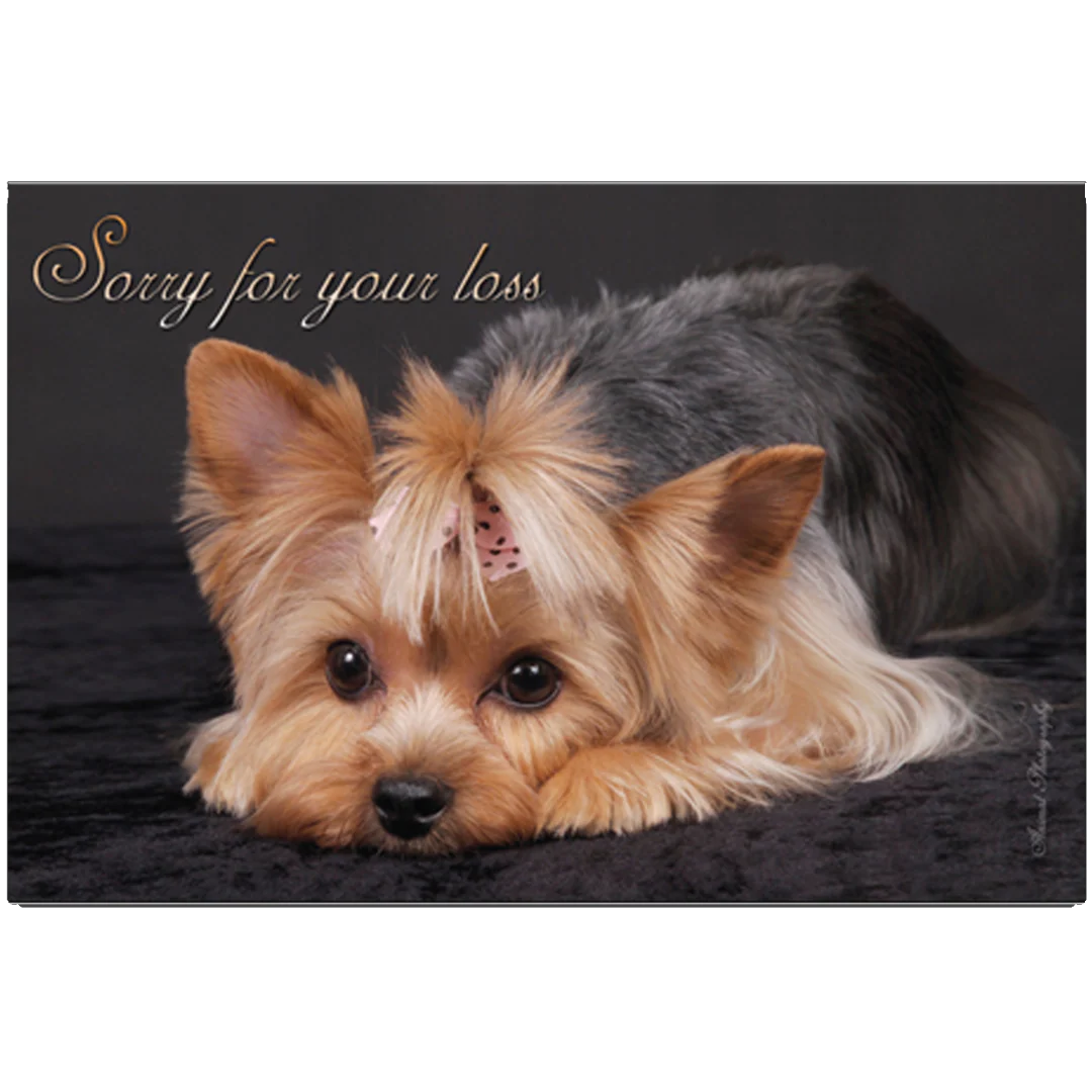 Sorry For Your Loss Yorkie Design Grievance Card by Dog Fashion Living