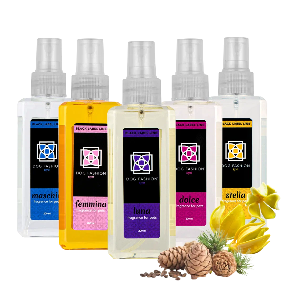 Five Best Selling Fragrances 200ml by Dog Fashion Spa Bundle - Image 3