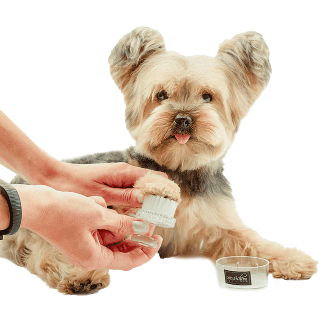 Black Face and Paw Brush by Dog Fashion Spa - Image 3