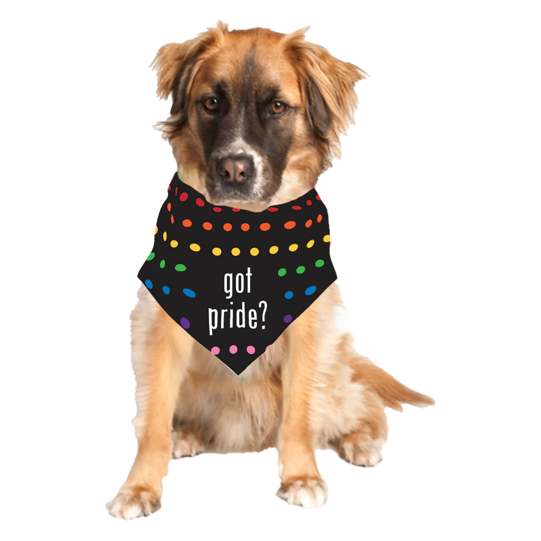 "Got Pride?" Bandana by Dog Fashion Living