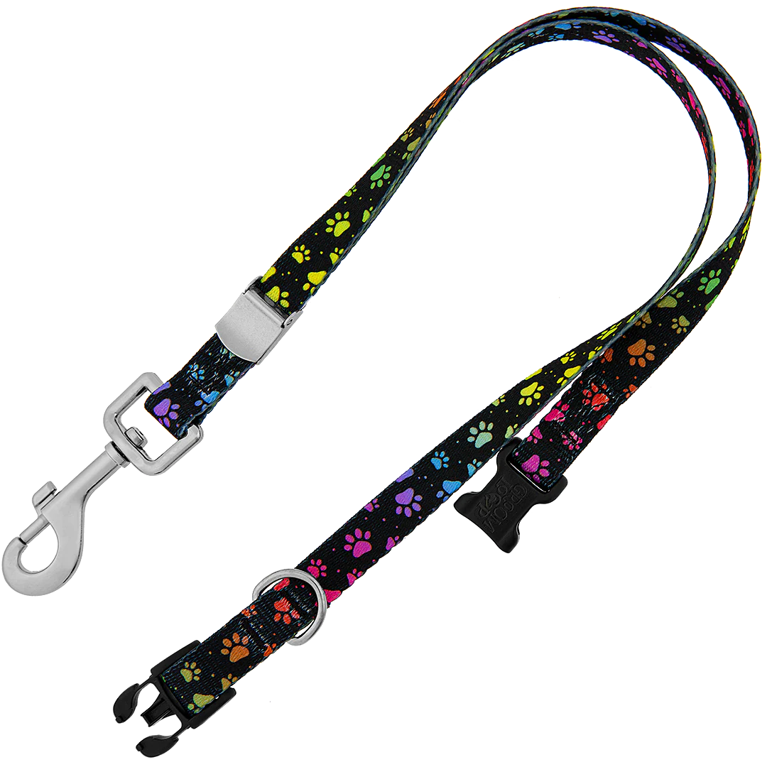 20″ Polyester Loop Rainbow Pretty Paws by Groom Loop