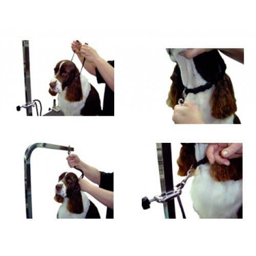 3/8" Small Grooming Loop Purple by Groomer's Helper - Image 3