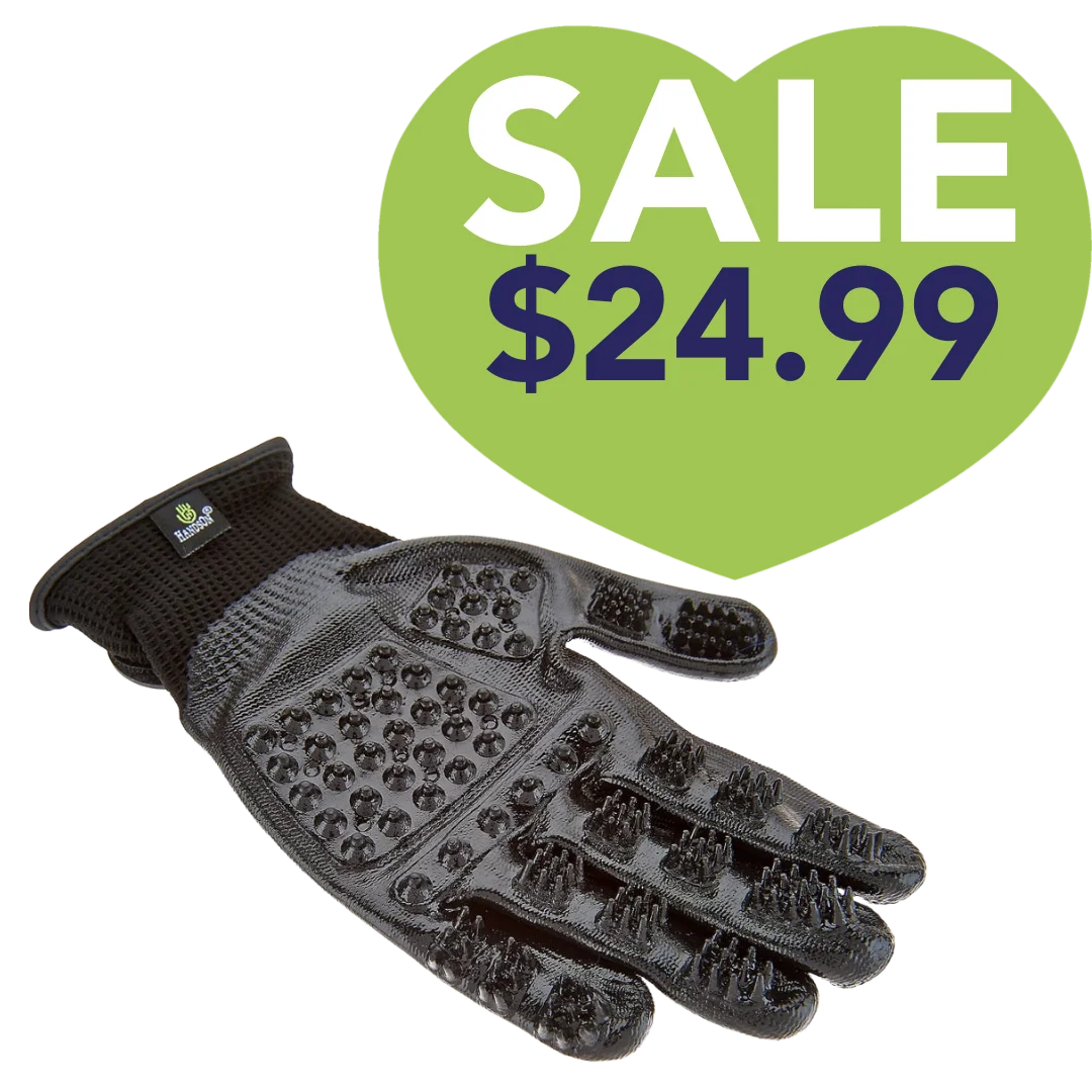 Small Black Deshedding Gloves by HandsOn Gloves