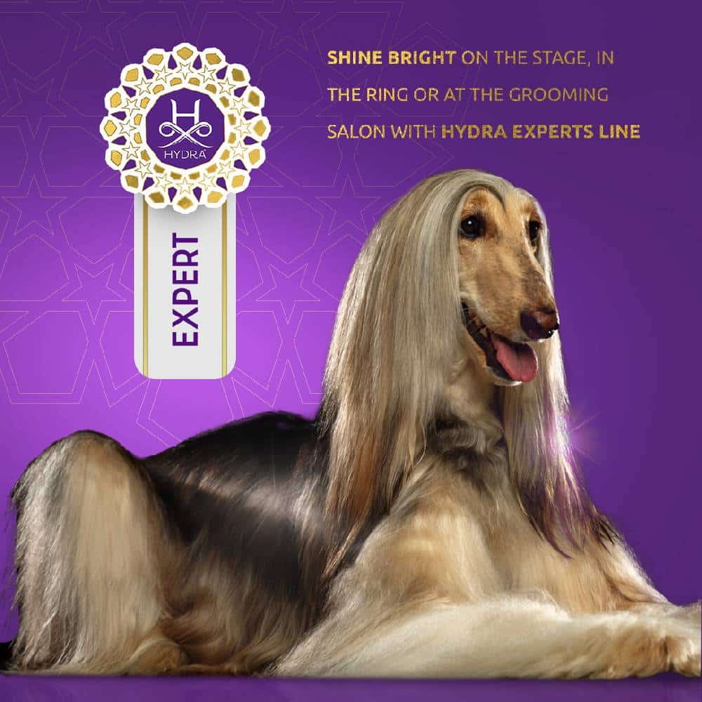 Expert Volumizing Mousse 5.07oz by Hydra - Image 2