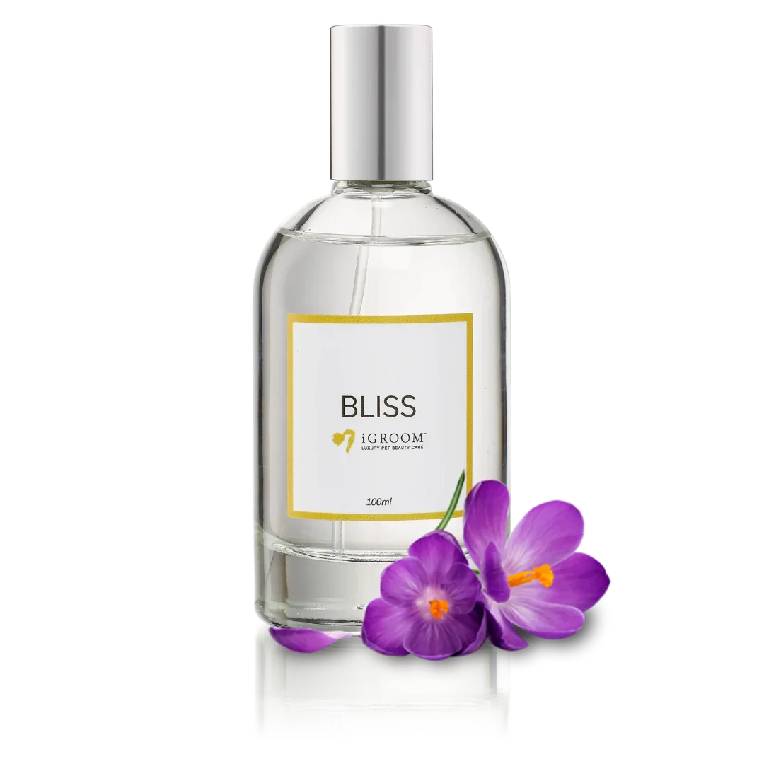 Bliss Perfume 100ml by iGroom - Image 2