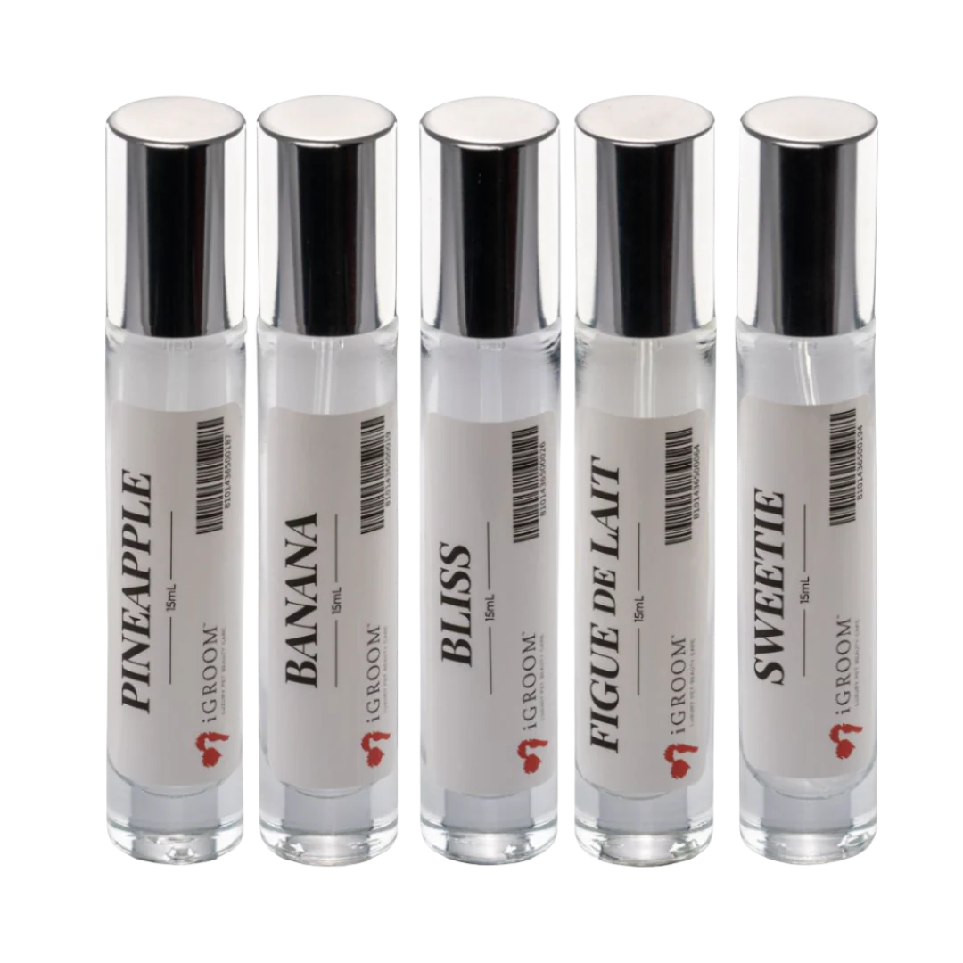 Five Best Seller Perfume Bundle 15ml by iGroom