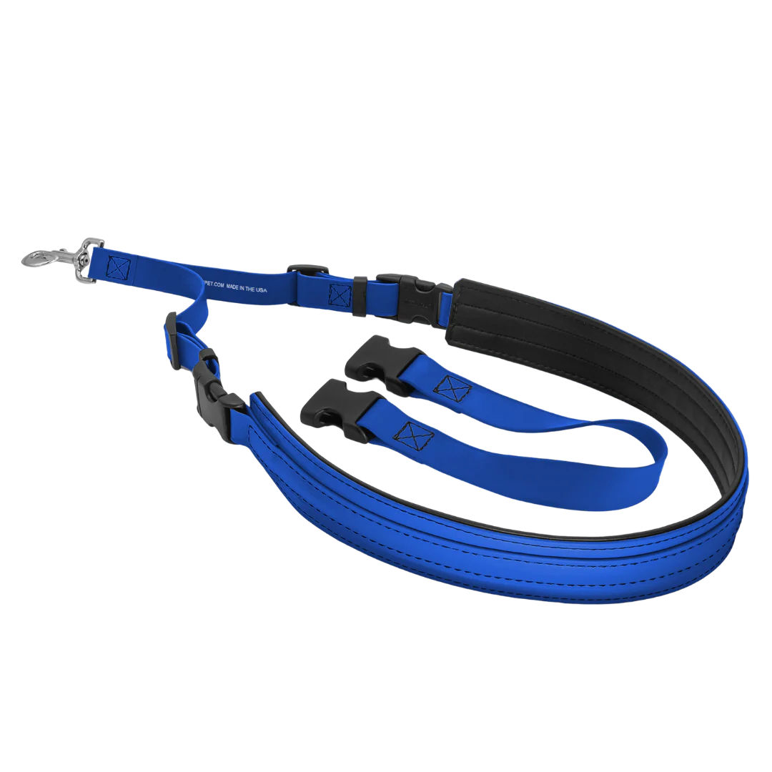 Belly Loop Royal Blue by Jelly Pet