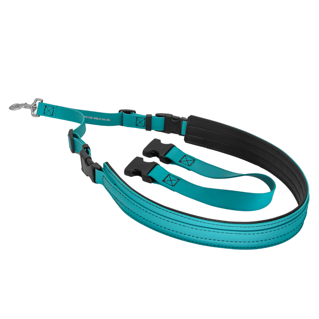 Belly Loops Teal by Jelly Pet