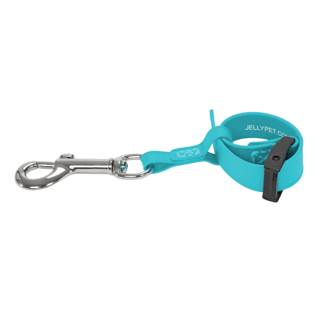 Safety Tether Teal by Jelly Pet