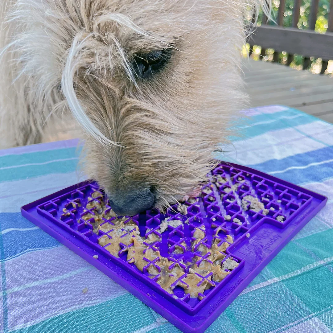 Buddy for Dogs Purple by LickiMat - Image 4