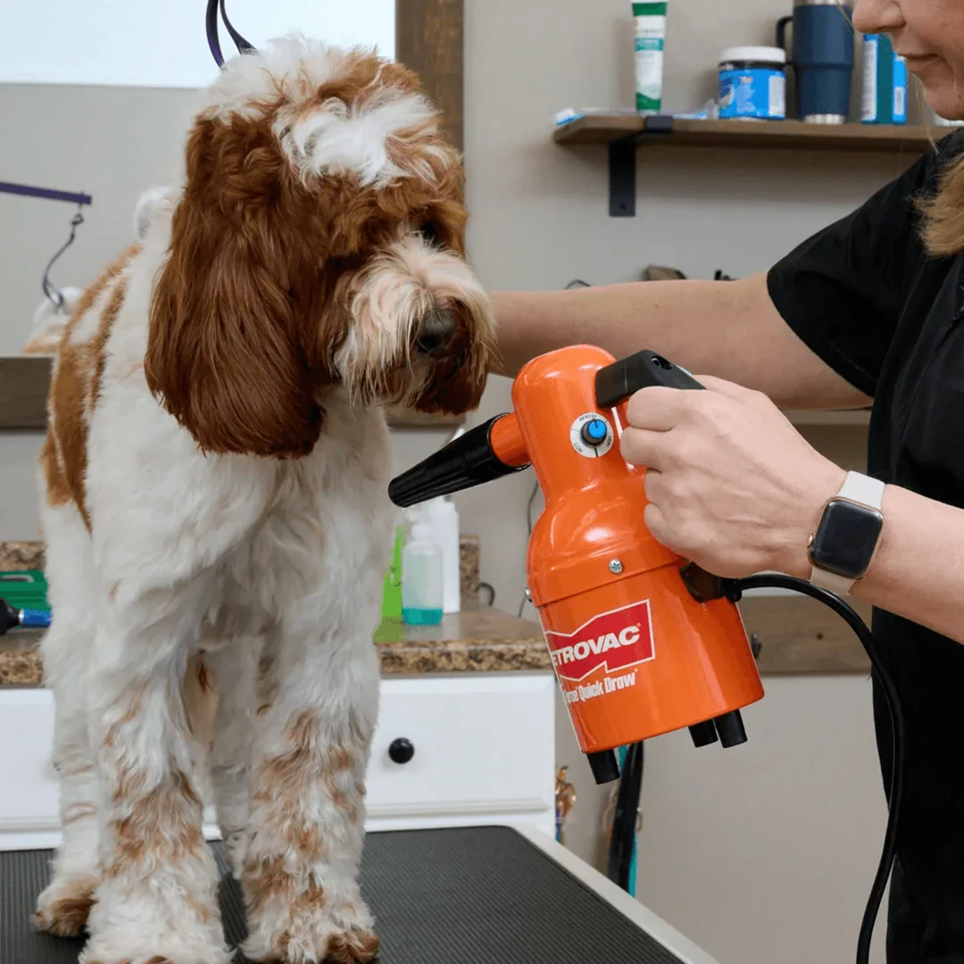 Quick Draw Compact Dog Dryer Variable Speed by Metrovac - Image 3