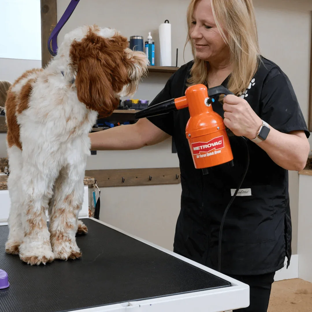 Quick Draw Compact Dog Dryer Variable Speed by Metrovac - Image 2