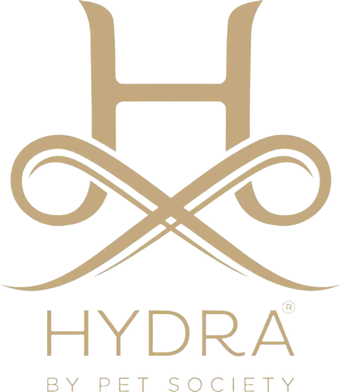 Moist Shampoo 1.3 Gallon by Hydra - Image 4
