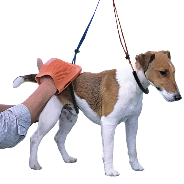 No-Sit Haunch Holder Regular by Proguard - Image 3