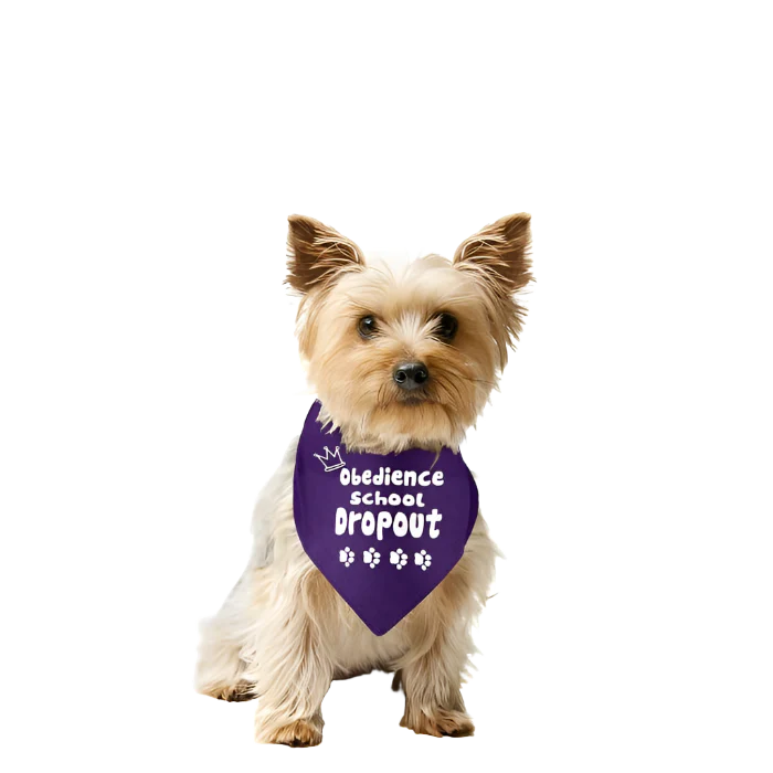 Obedience School Dropout by Dog Fashion Living