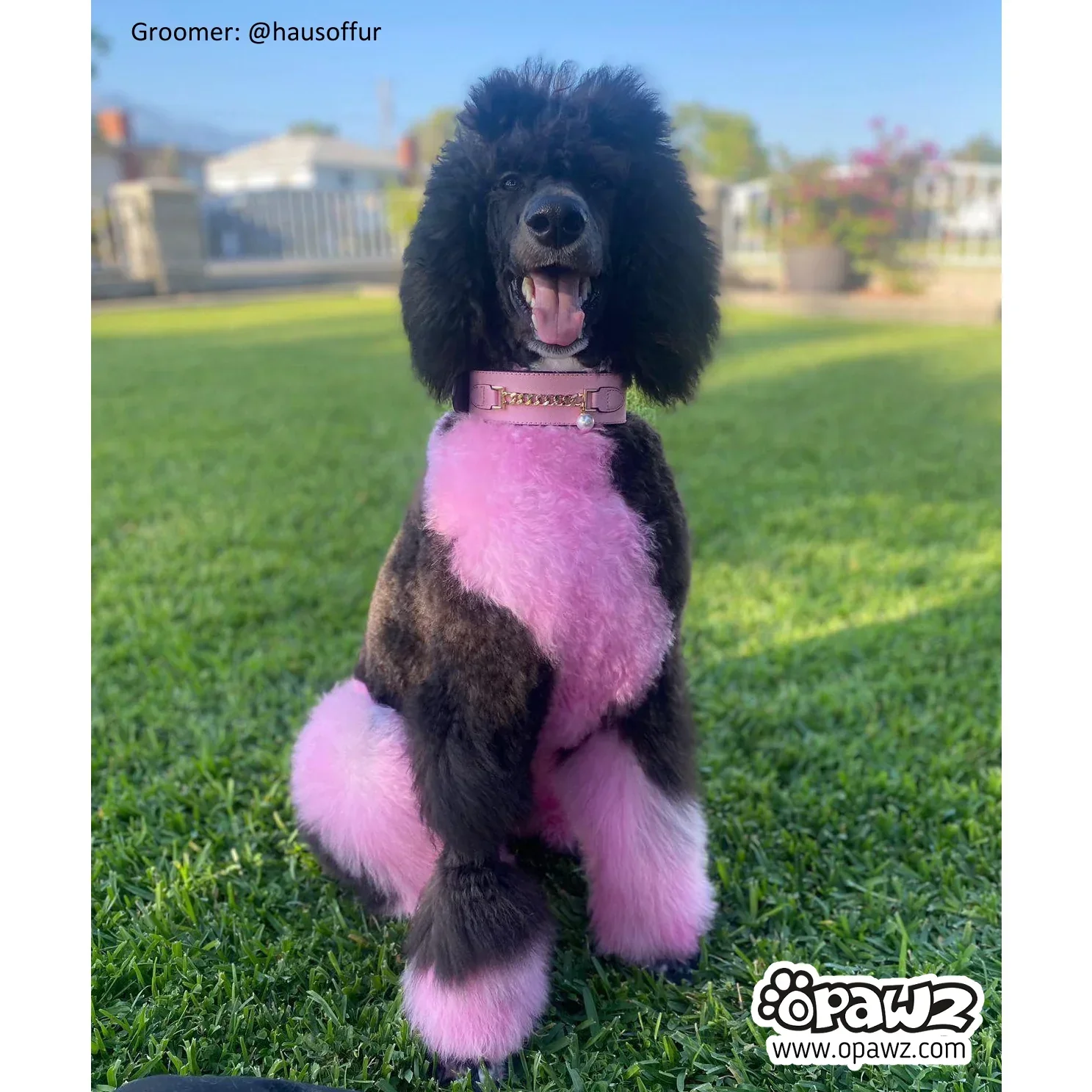 Permanent Dog Hair Dye Charm Pink 8oz by Opawz - Image 2