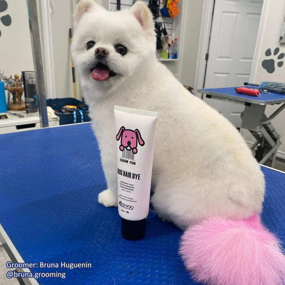 Permanent Dog Hair Dye Charm Pink 8oz by Opawz - Image 3