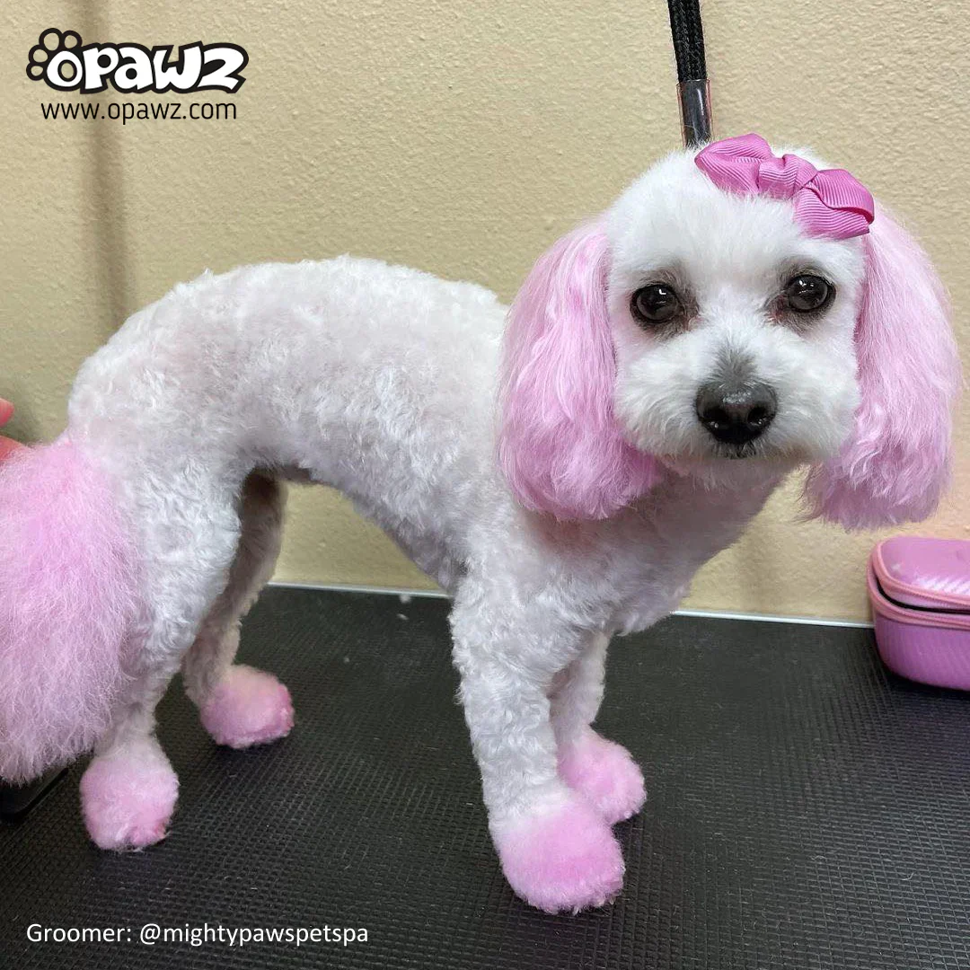 Permanent Dog Hair Dye Charm Pink 8oz by Opawz - Image 4