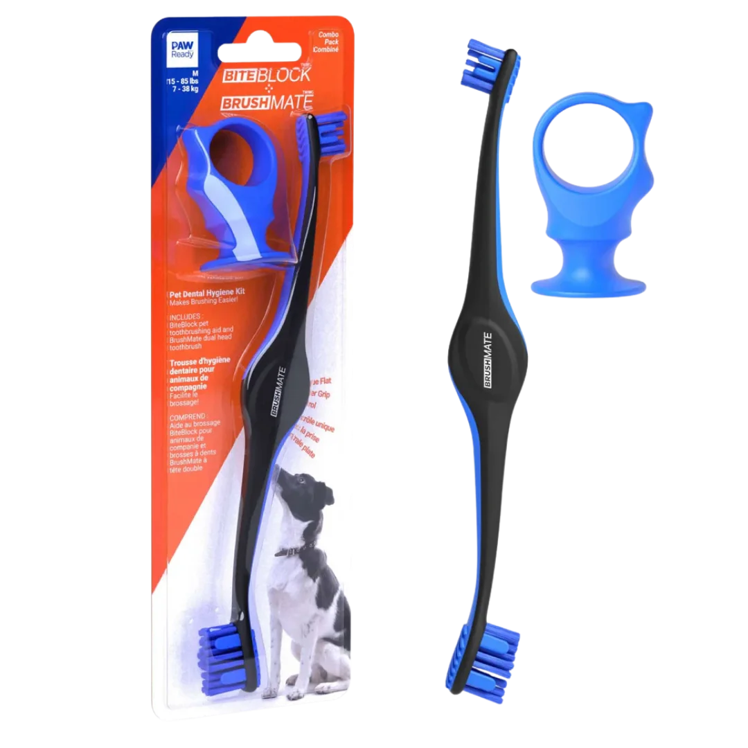 Blue Brushmate Premium Toothbrush with Biteblock Medium by Paw Ready - Image 3