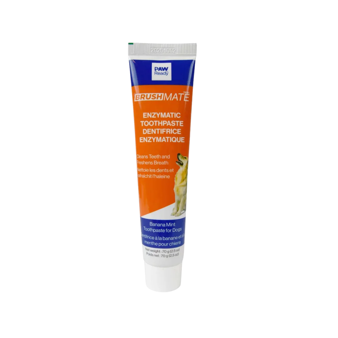 Brushmate Toothpaste Banana Mint 2.5oz by Paw Ready - Image 2