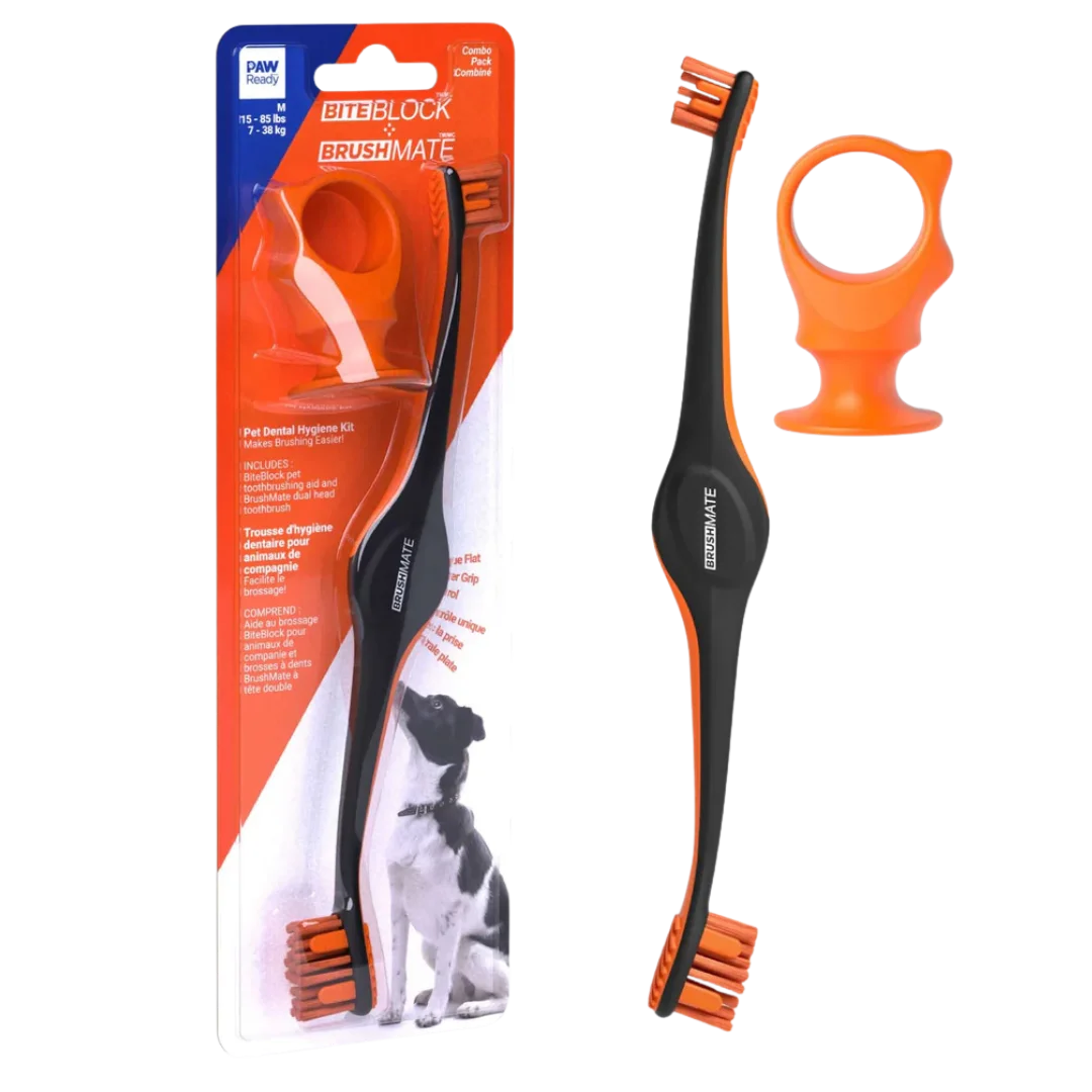Orange Brushmate Premium Toothbrush with Biteblock Medium by Paw Ready - Image 3