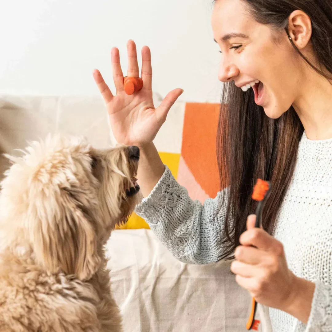 Orange Brushmate Premium Toothbrush with Biteblock Small by Paw Ready - Image 7