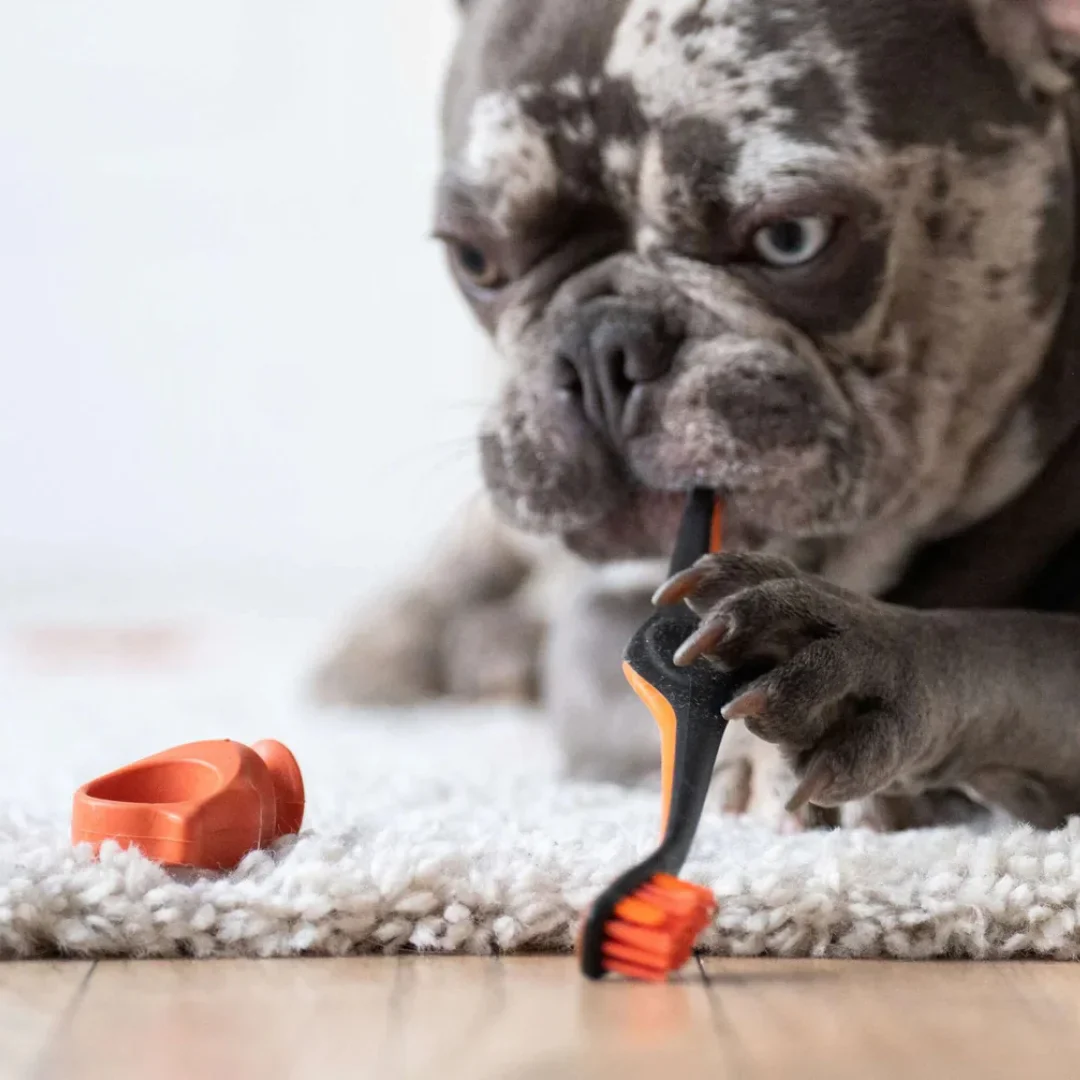 Orange Brushmate Premium Toothbrush with Biteblock Small by Paw Ready - Image 8
