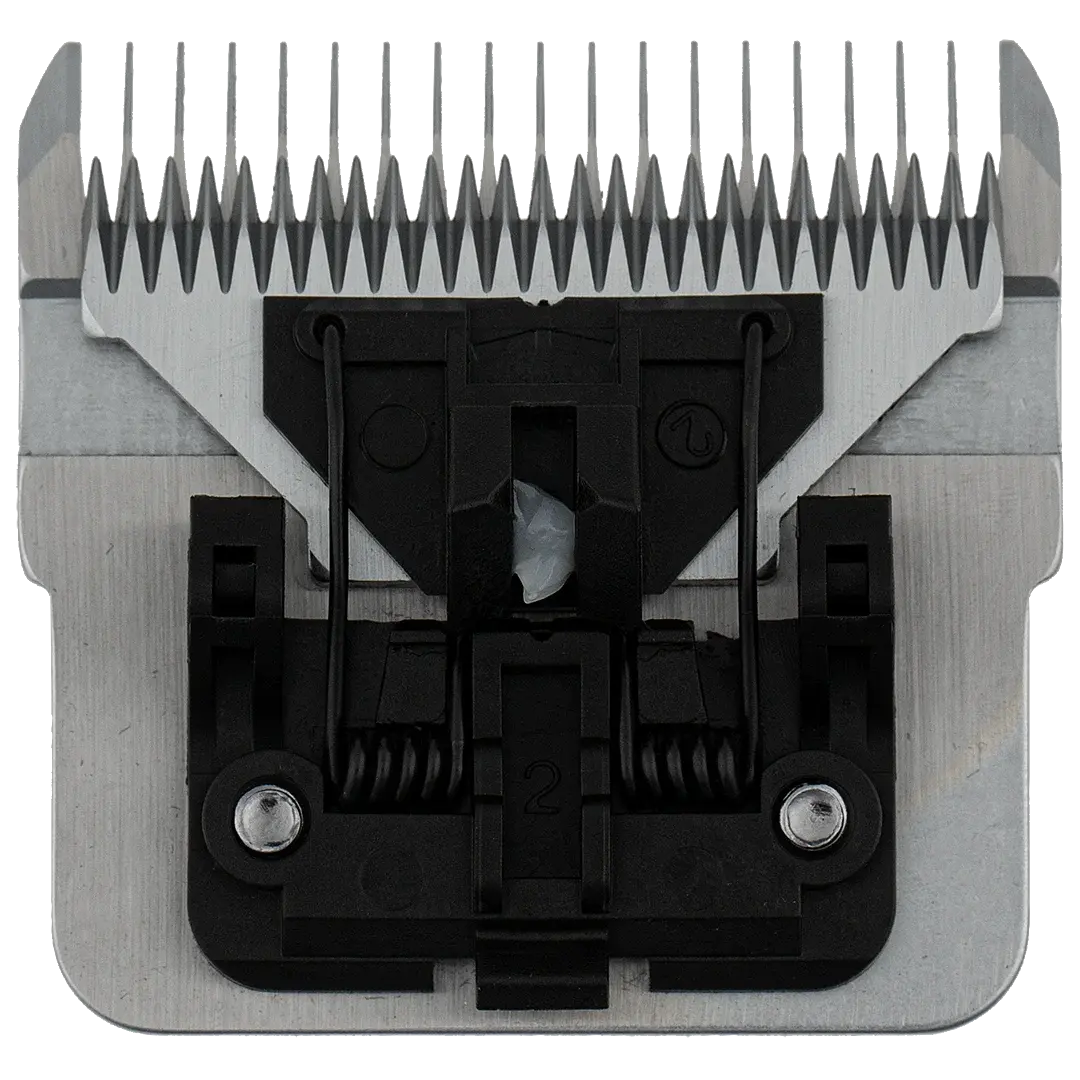 #7F D-Series Blade by PetStore.Direct - Image 2