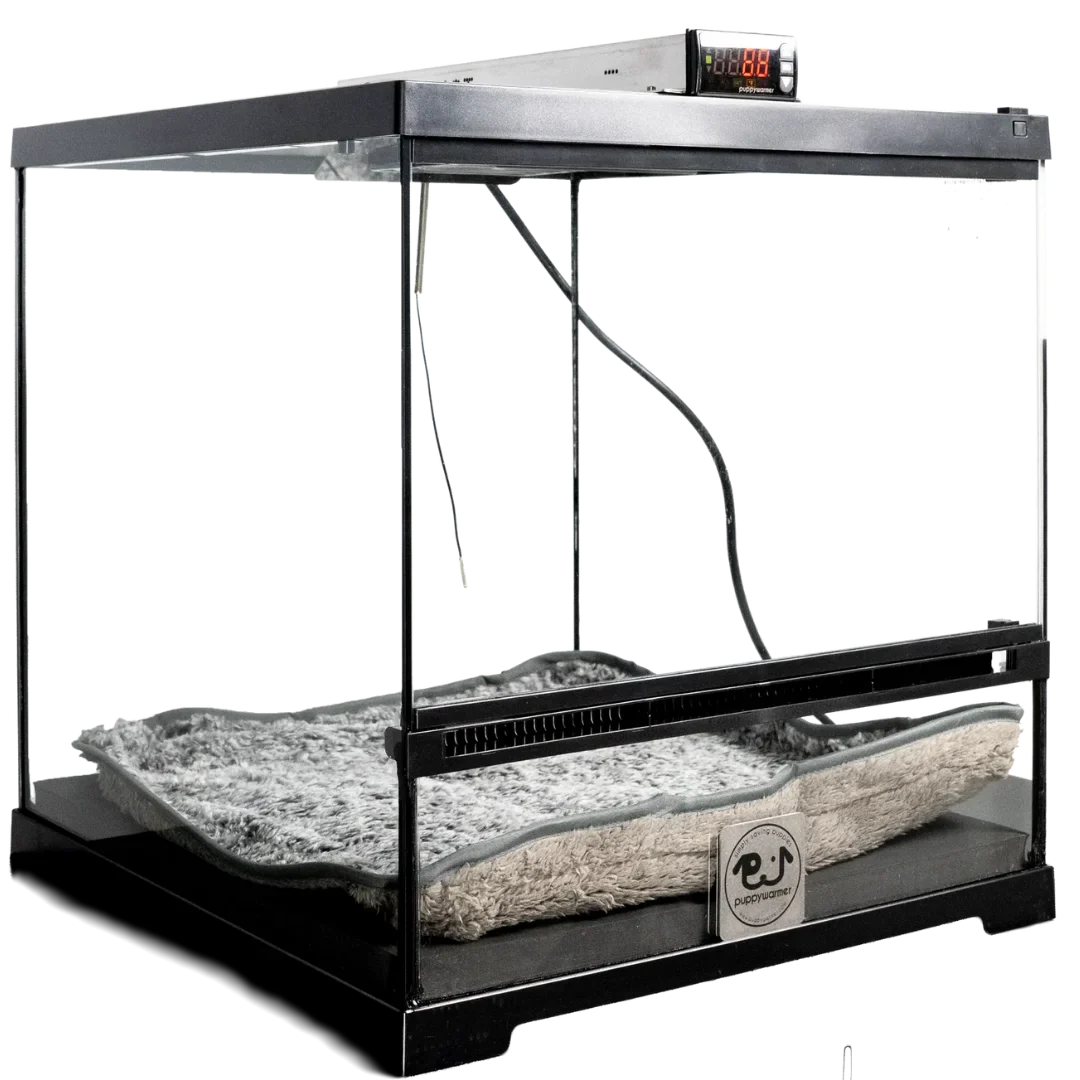 Puppy Incubator 18"x18"x18" by Puppywarmer - Image 2