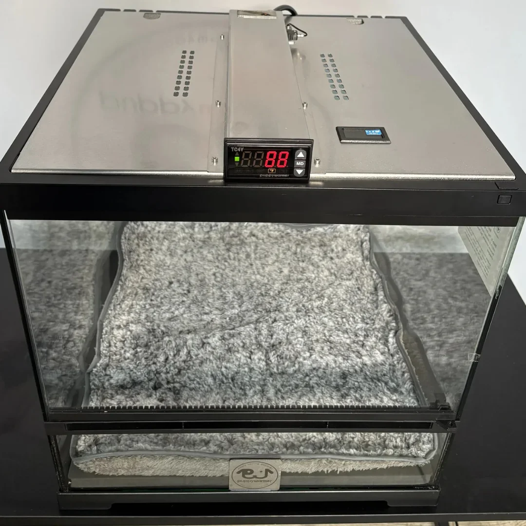 Puppy Incubator 18"x18"x18" by Puppywarmer - Image 3