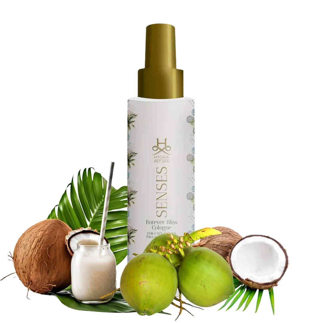 Senses Bliss Cologne by Hydra - Image 2