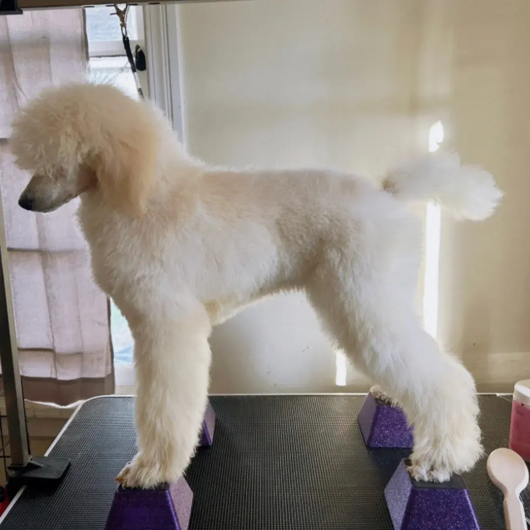 Stacking Blocks Small Cyan by Vanity Fur - Image 7