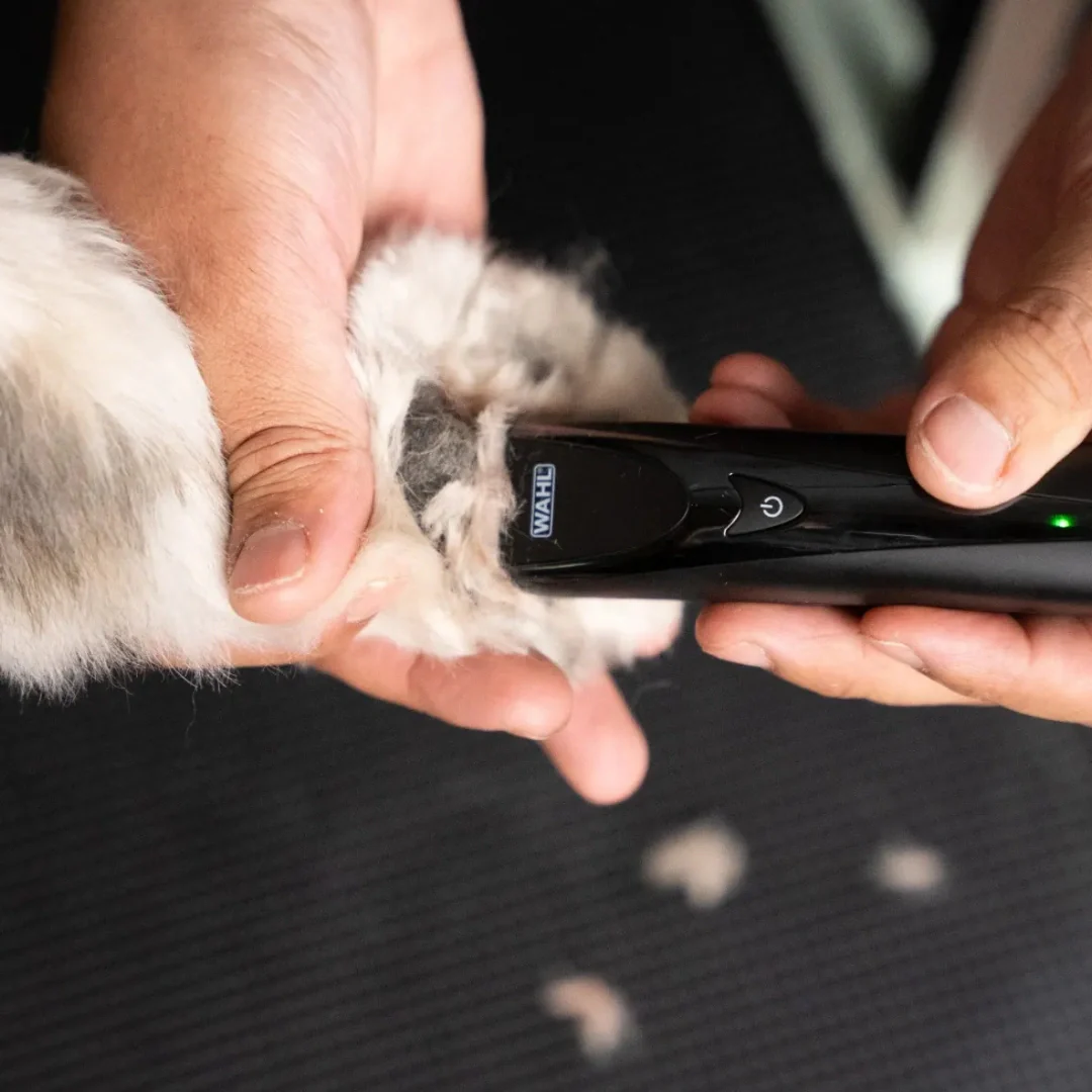 Fidela Cordless Trimmer by Wahl - Image 5