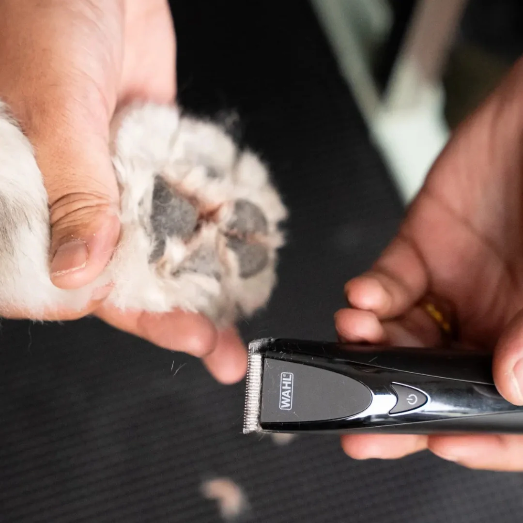 Fidela Cordless Trimmer by Wahl - Image 6