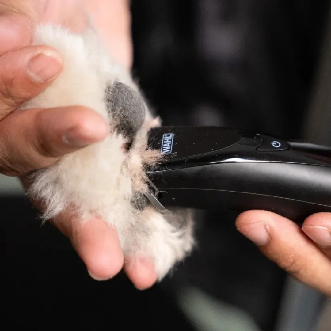 Fidela Cordless Trimmer by Wahl - Image 7