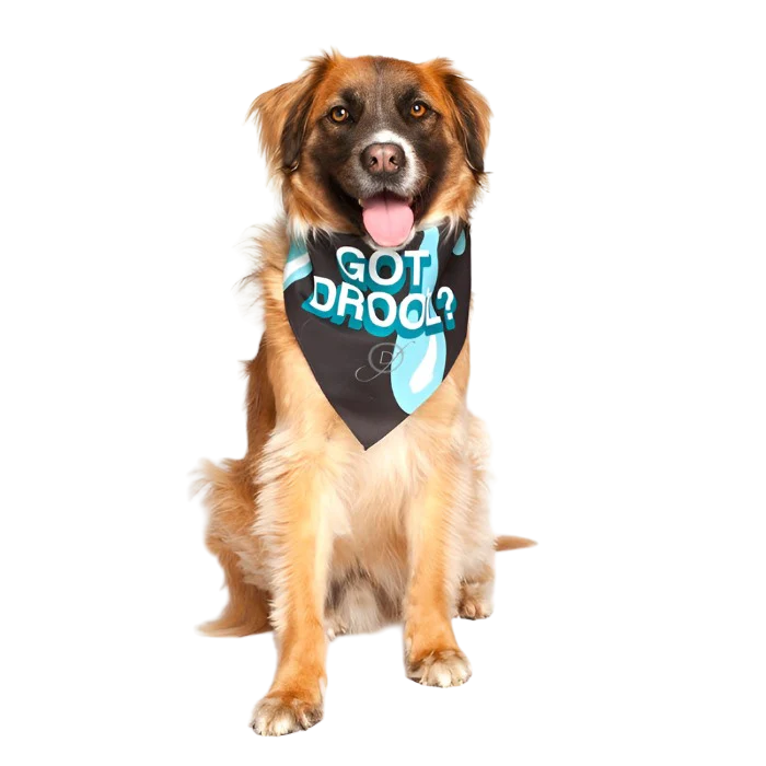 "Got Drool?" Dog Bandana by Dog Fashion Living