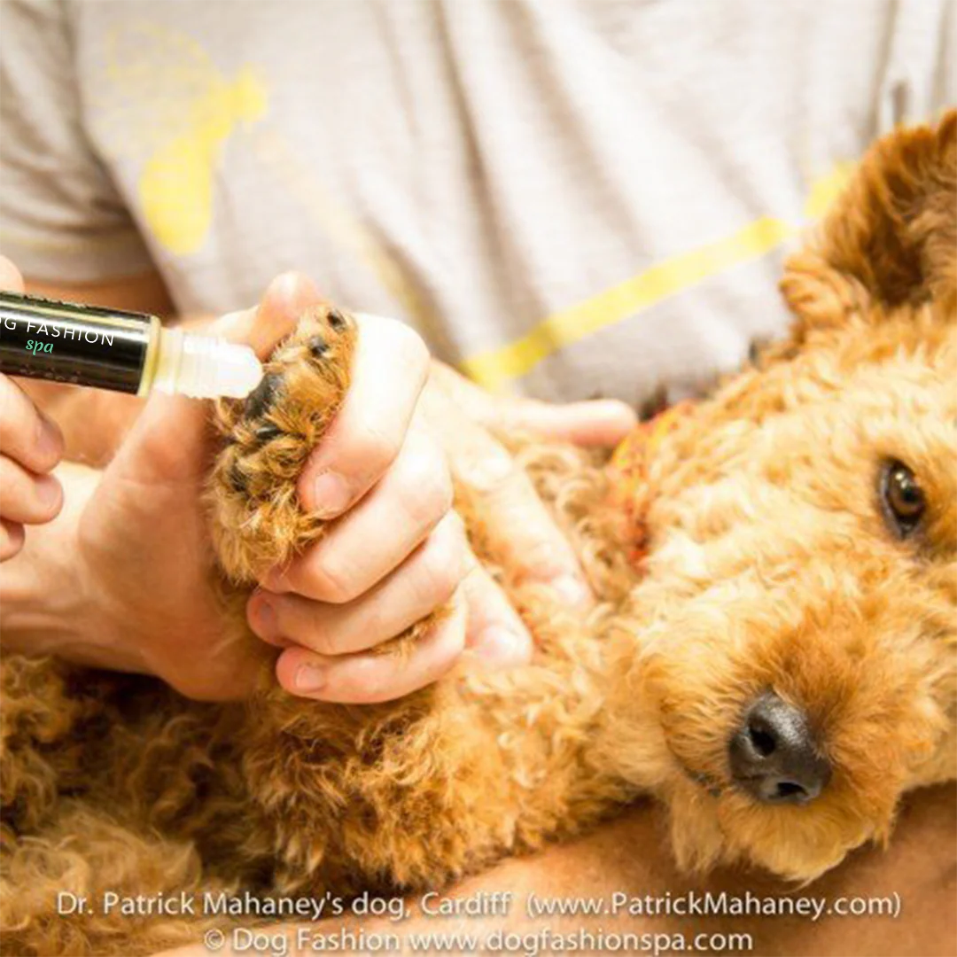 Dog Paw + Nose Moisturizer by Dog Fashion Spa - Image 3