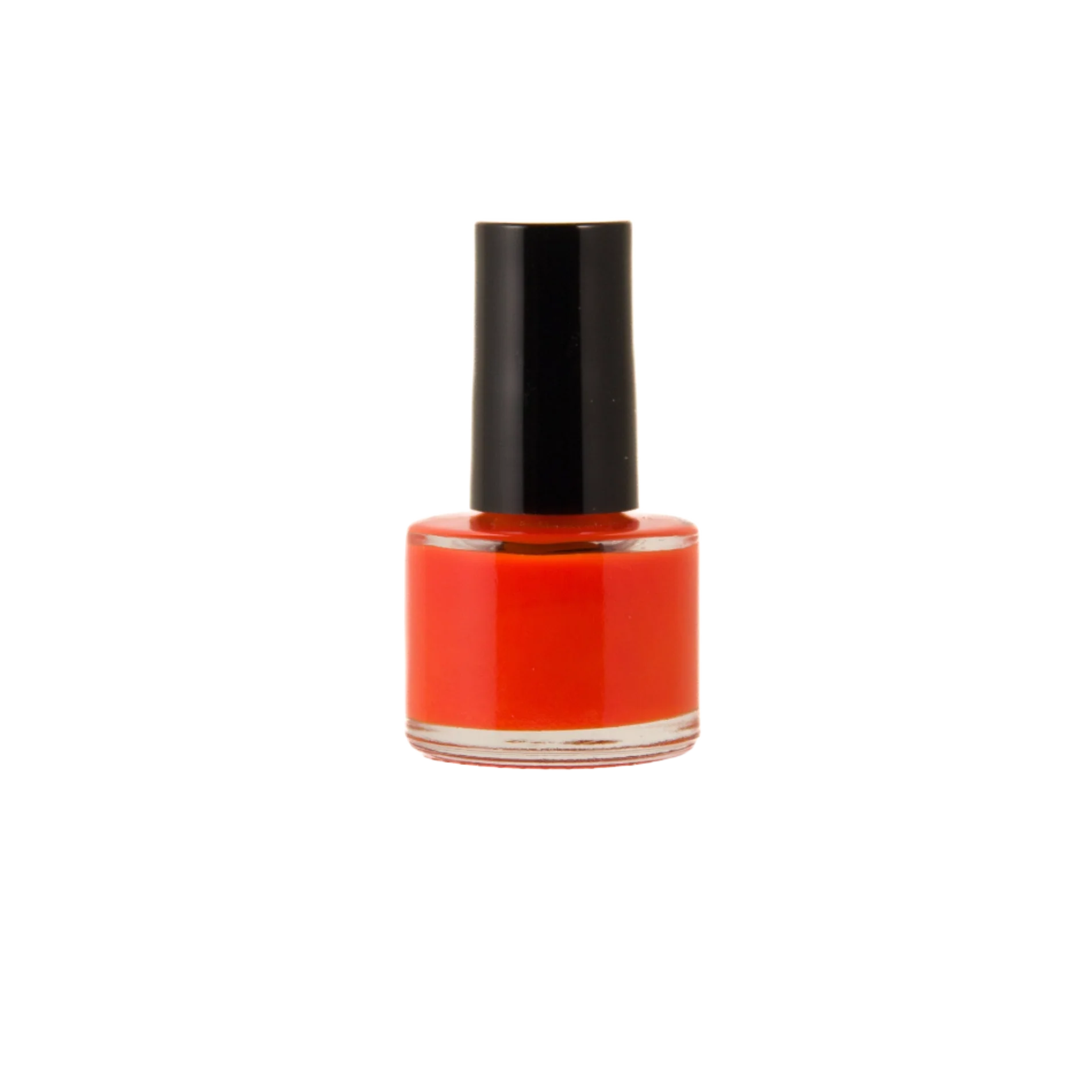 Disco Paw Orange Non-toxic Nail Polish by Dog Fashion Spa - Image 4