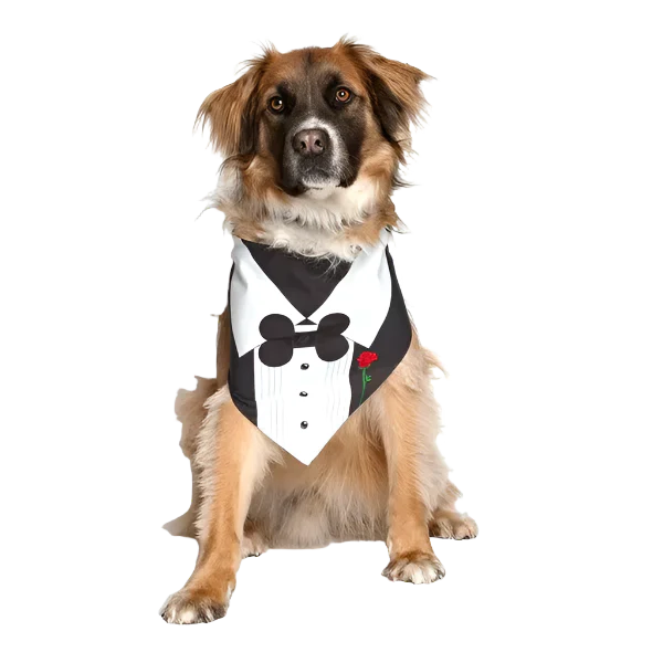 Tuxedo With Rose Wedding Dog Bandana by Dog Fashion Living