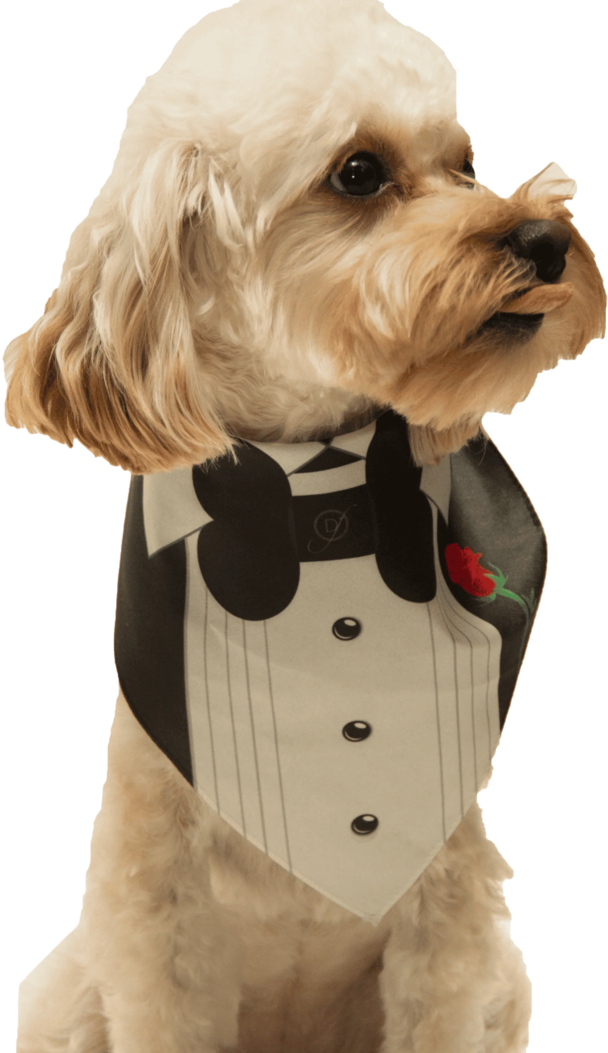 Tuxedo With Rose Wedding Dog Bandana by Dog Fashion Living - Image 2