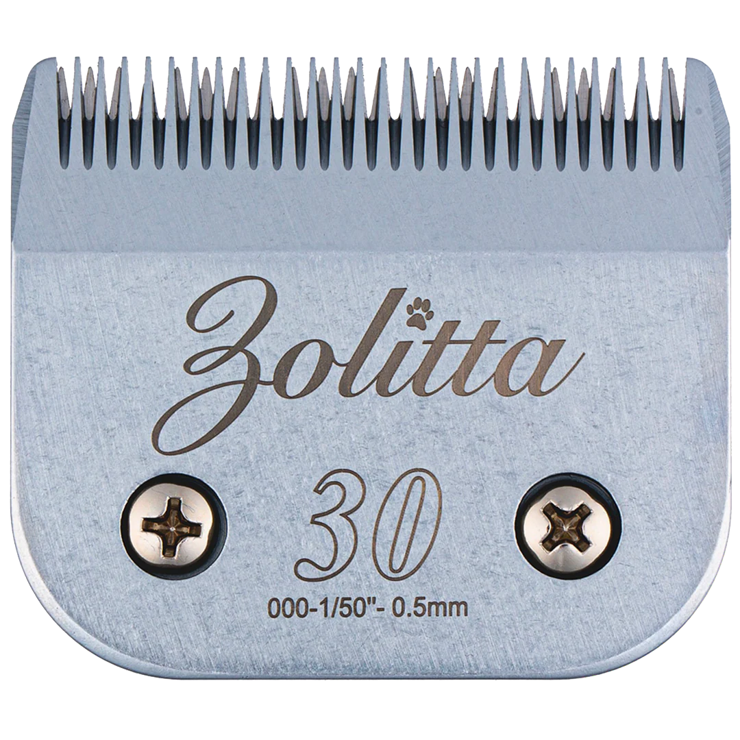 #30 Blade by Zolitta